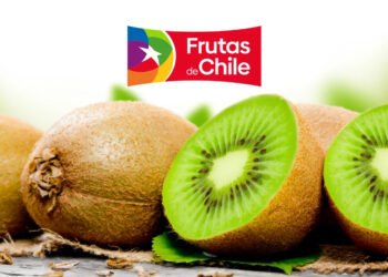 Kiwis de Chile realiza taller Kiwi Beauty Experience donde la belleza comienza desde adentro