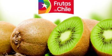 Kiwis de Chile realiza taller Kiwi Beauty Experience donde la belleza comienza desde adentro
