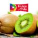 Kiwis de Chile realiza taller Kiwi Beauty Experience donde la belleza comienza desde adentro