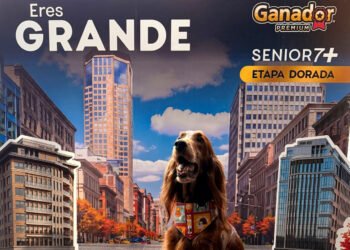 Cuando tu perro ya es senior, llega Ganador Premium Senior 7+ Etapa Dorada para los mejores años de su vida