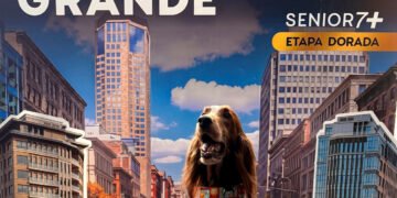 Cuando tu perro ya es senior, llega Ganador Premium Senior 7+ Etapa Dorada para los mejores años de su vida