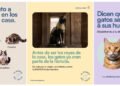 El Museo del Gato abrirá sus puertas en la Ciudad de México el próximo 8 de agosto