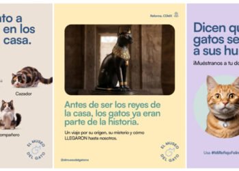 El Museo del Gato abrirá sus puertas en la Ciudad de México el próximo 8 de agosto