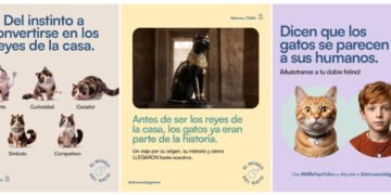 El Museo del Gato abrirá sus puertas en la Ciudad de México el próximo 10 de agosto