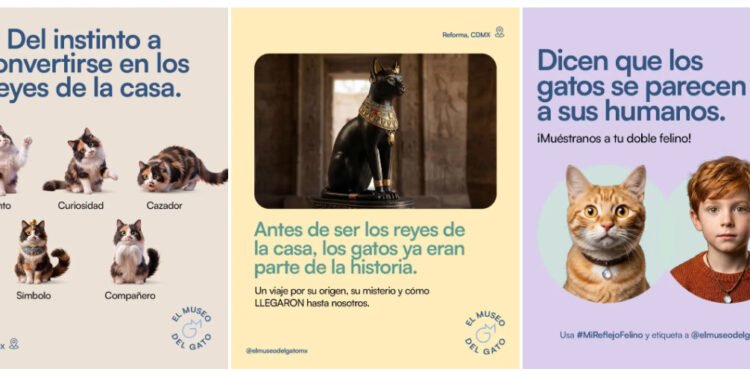 El Museo del Gato abrirá sus puertas en la Ciudad de México el próximo 8 de agosto