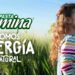 Del norte a la mesa: el trigo mexicano detrás de una tradición presente en millones de hogares
