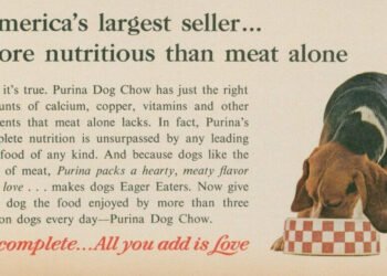 Dog Chow®, 100 años cuidando a tu mejor amigo