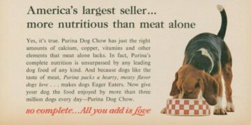 Dog Chow®, 100 años cuidando a tu mejor amigo
