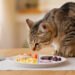 ¿Todos los gatos deben o pueden comer lo mismo?