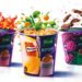 Del K-Pop a K-norr: llega a México Knorr Noodles Coreanos sabores res, vegetales y coreano picante